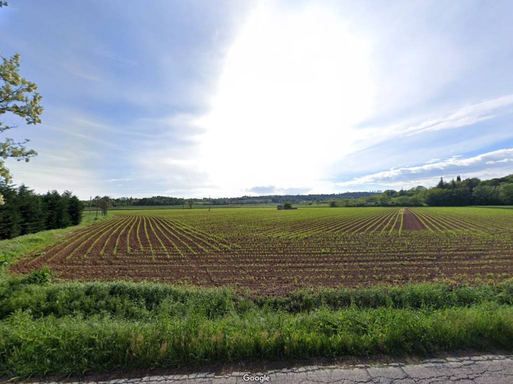 terreno agricolo in vendita a Cavriana