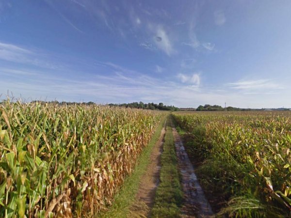terreno agricolo in vendita a Cavriana
