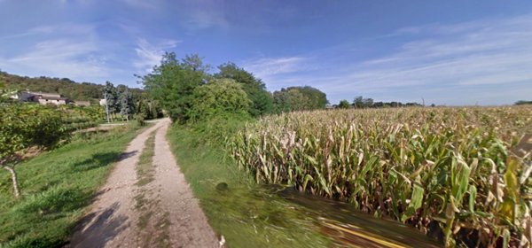 terreno agricolo in vendita a Cavriana