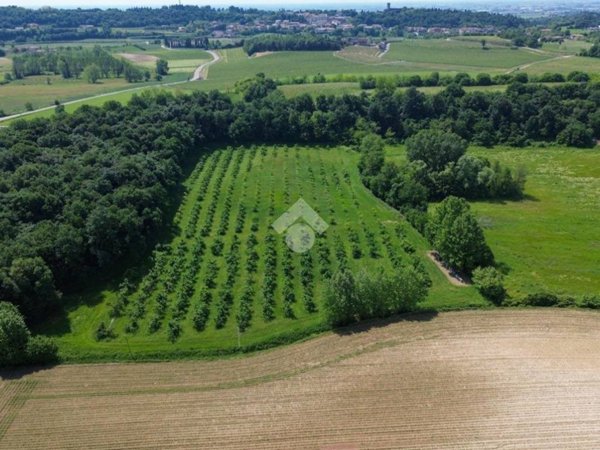 terreno agricolo in vendita a Cavriana