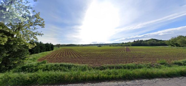 terreno agricolo in vendita a Cavriana