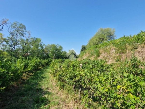 terreno agricolo in vendita a Cavriana