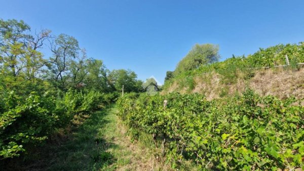 terreno agricolo in vendita a Cavriana
