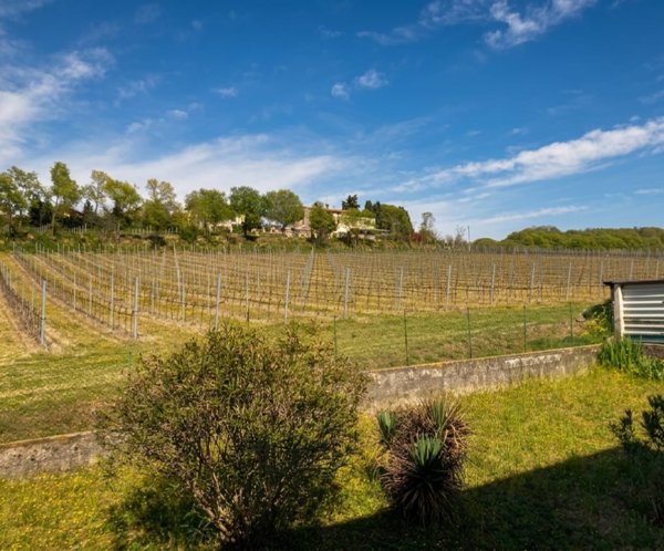 appartamento in vendita a Cavriana