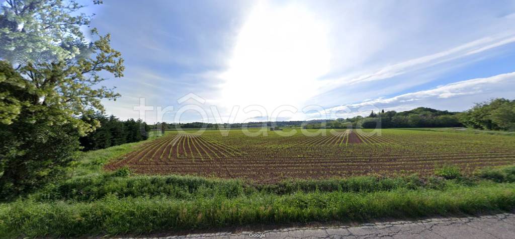terreno agricolo in vendita a Cavriana