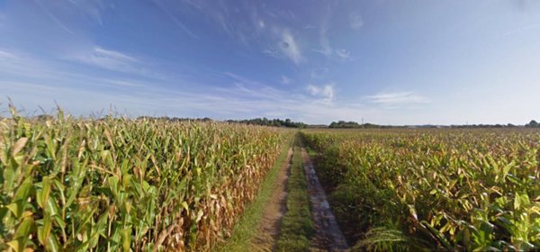terreno agricolo in vendita a Cavriana