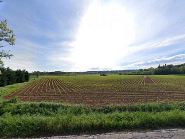 terreno agricolo in vendita a Cavriana