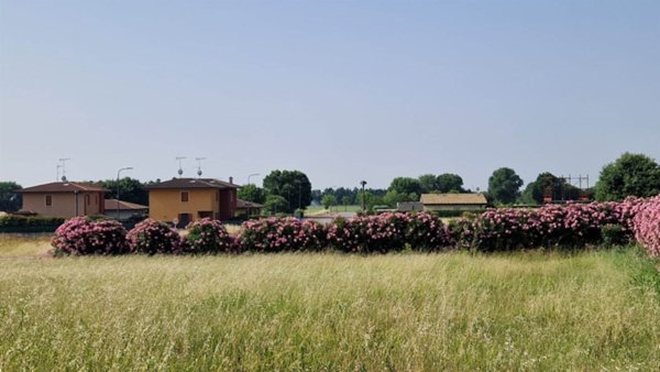 terreno agricolo in vendita a Cavriana