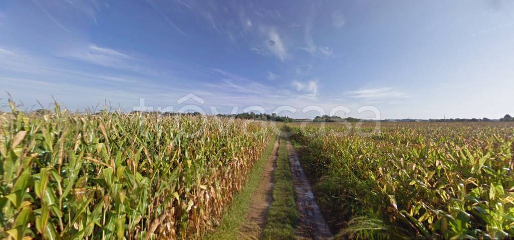 terreno agricolo in vendita a Cavriana