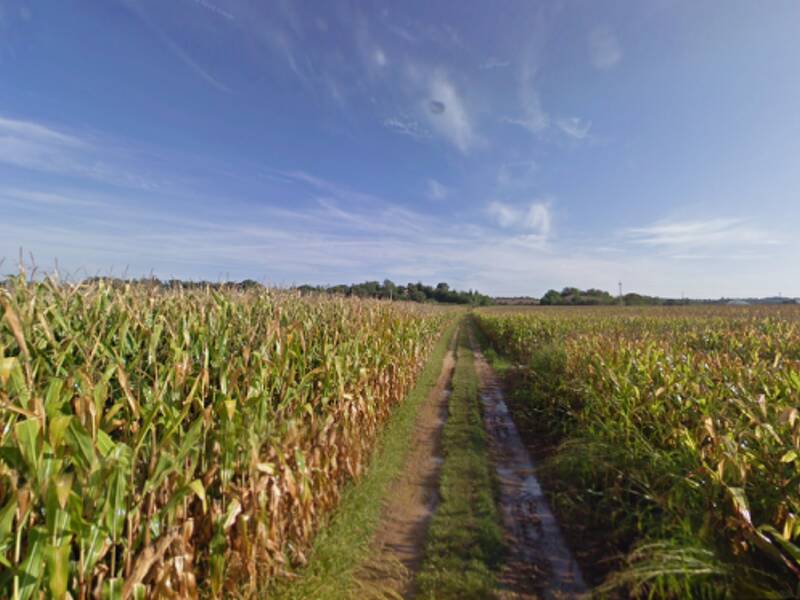 terreno agricolo in vendita a Cavriana