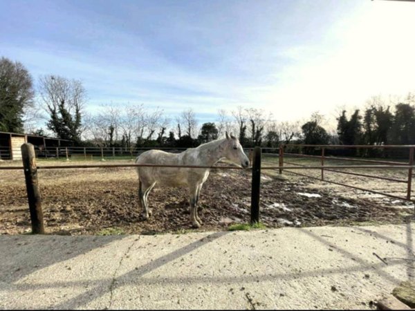 negozio in vendita a Cavriana in zona Campagnolo