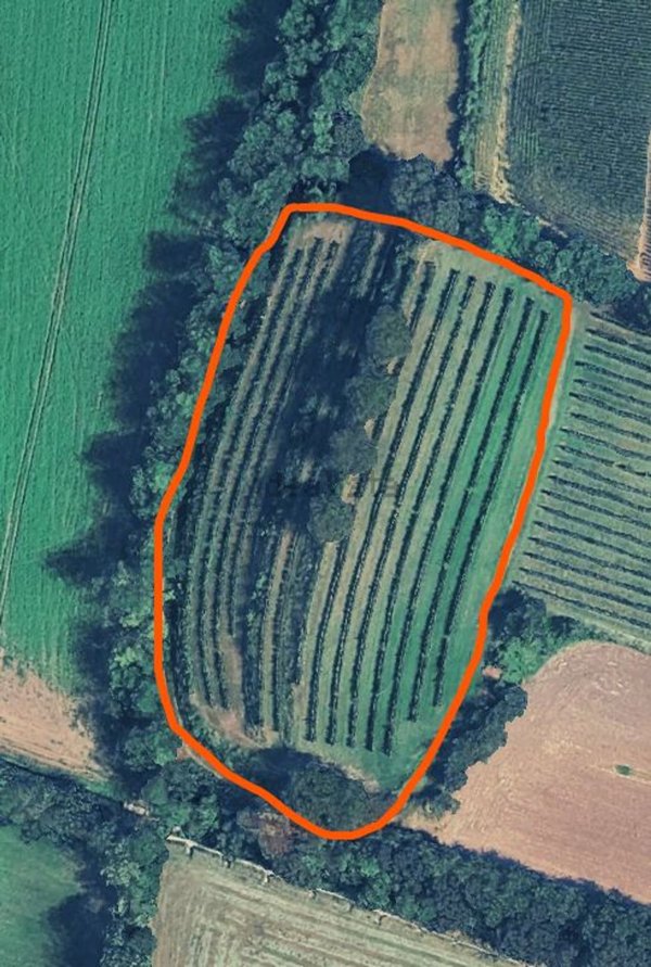 terreno agricolo in vendita a Cavriana