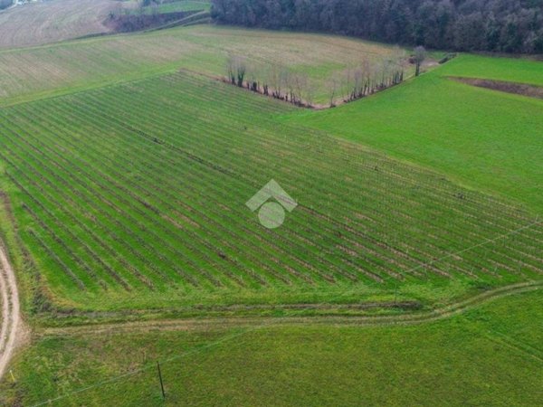 terreno agricolo in vendita a Cavriana in zona Campagnolo