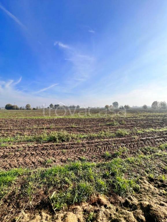 terreno agricolo in vendita a Ceresara