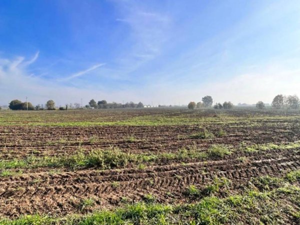 terreno agricolo in vendita a Ceresara