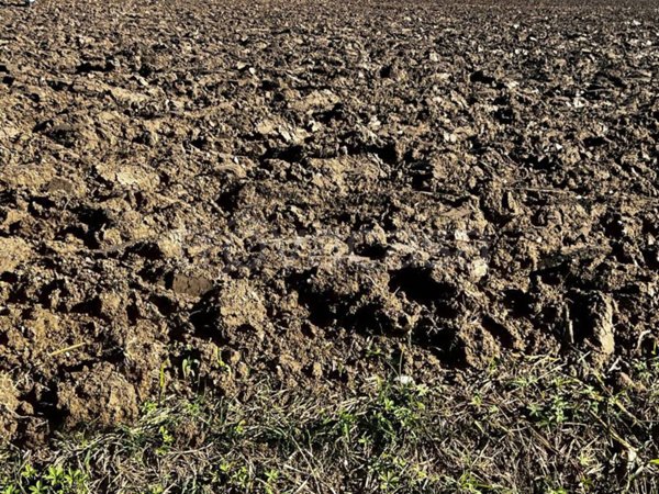 terreno agricolo in vendita a Ceresara