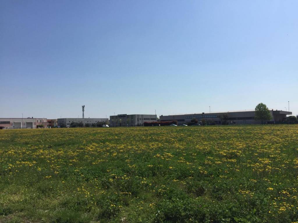 terreno agricolo in vendita a Curtatone