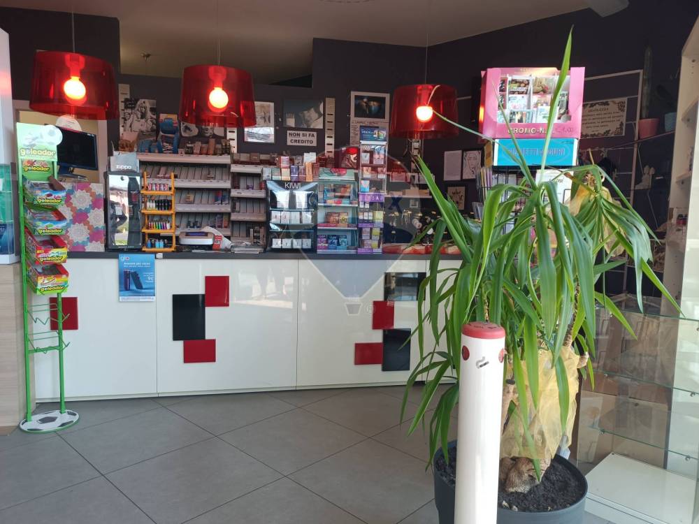 negozio in vendita a Curtatone