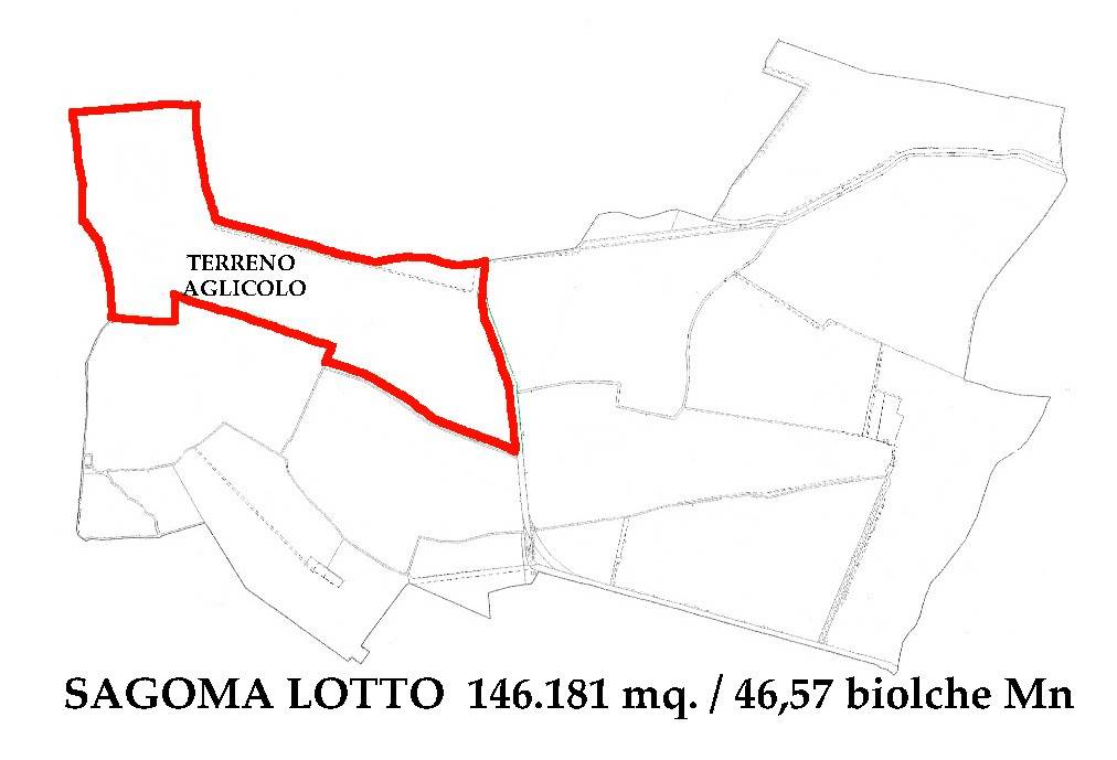 terreno agricolo in vendita a Curtatone