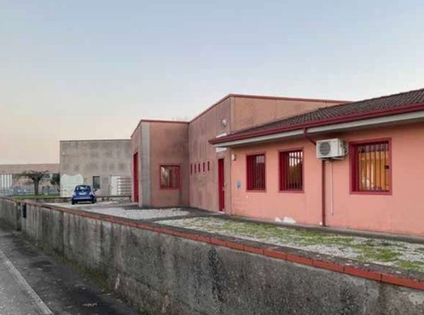 immagine annuncio 0 di 10