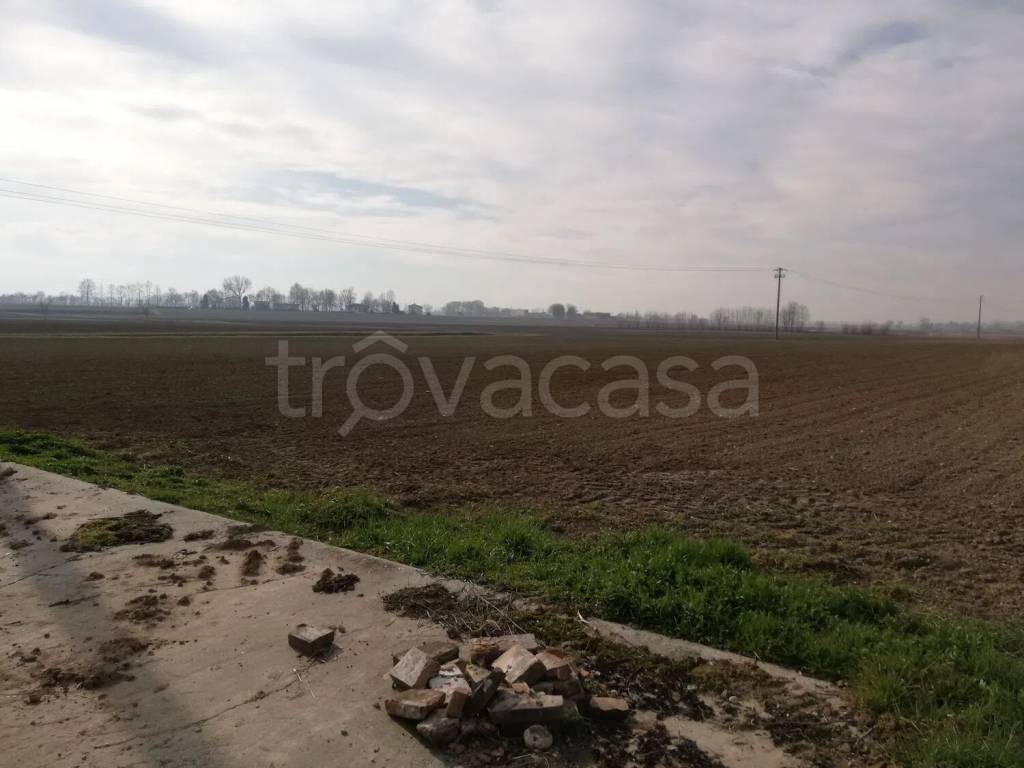 terreno agricolo in vendita a Curtatone