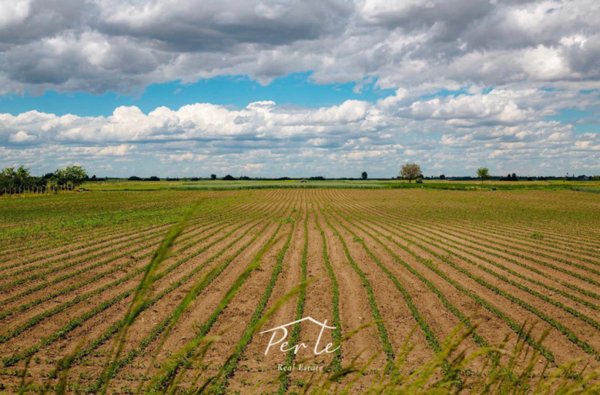 terreno edificabile in vendita a Curtatone