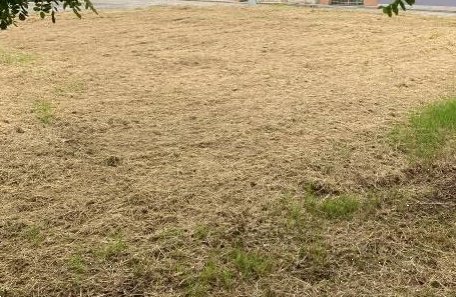 terreno edificabile in vendita a Curtatone