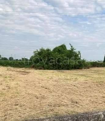 terreno agricolo in vendita a Curtatone