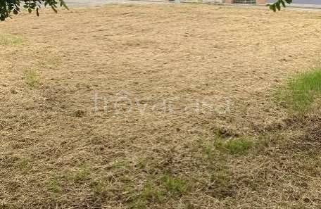 terreno agricolo in vendita a Curtatone