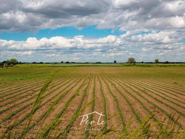 terreno agricolo in vendita a Curtatone