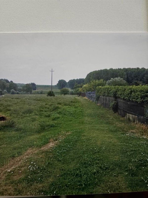 terreno agricolo in vendita a Dosolo in zona Villastrada