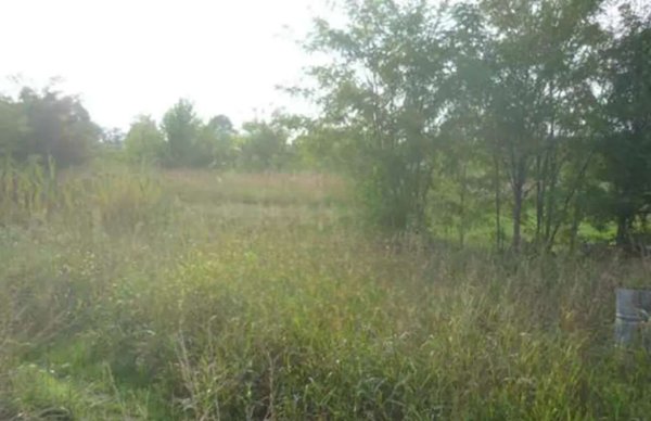 terreno edificabile in vendita a Gazoldo degli Ippoliti