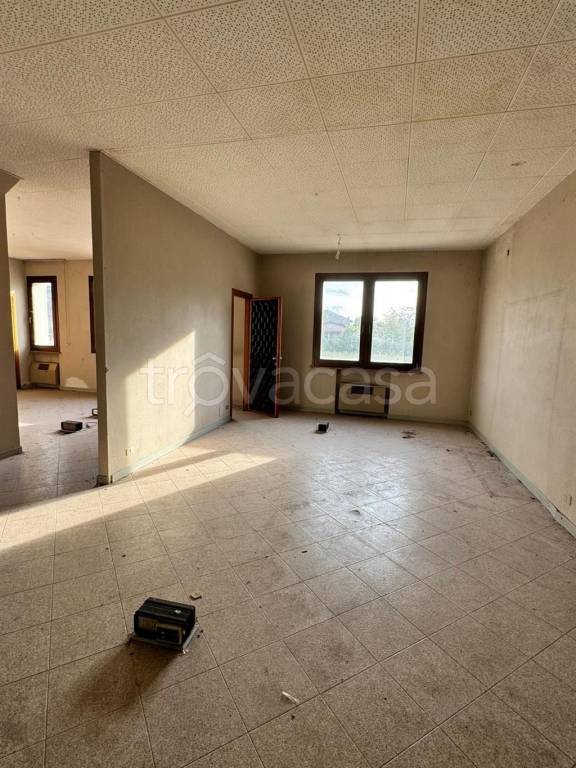 immagine annuncio 0 di 10