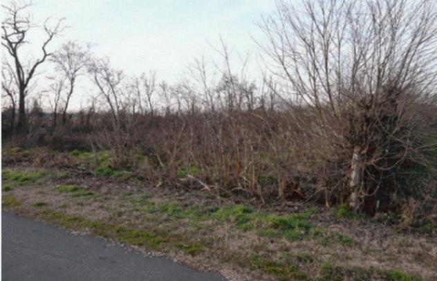 terreno edificabile in vendita a Gazzuolo