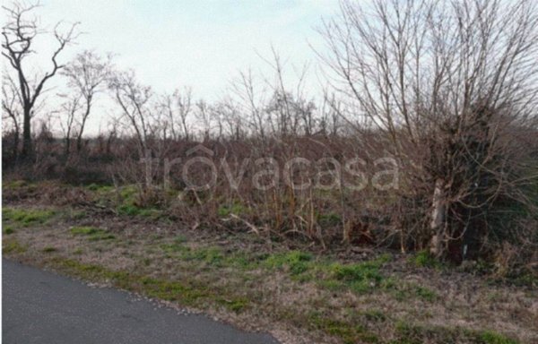 terreno edificabile in vendita a Gazzuolo