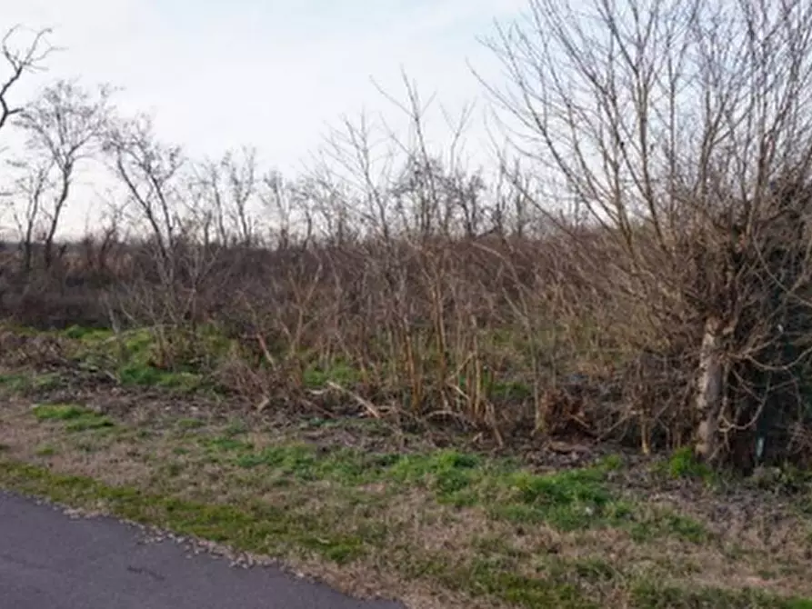 terreno edificabile in vendita a Gazzuolo