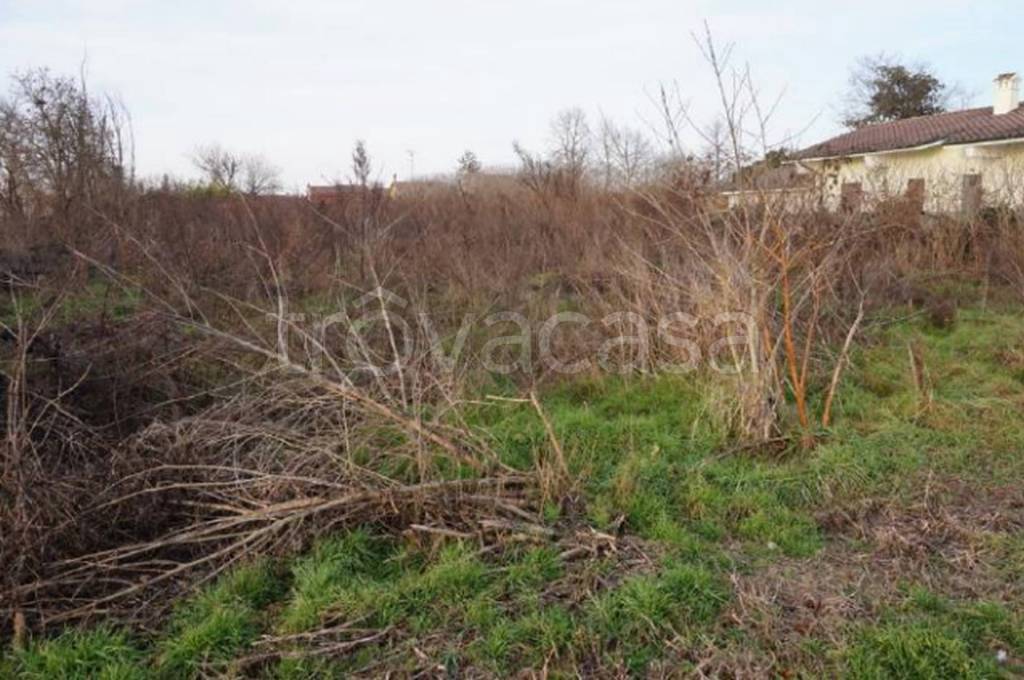 terreno agricolo in vendita a Gazzuolo