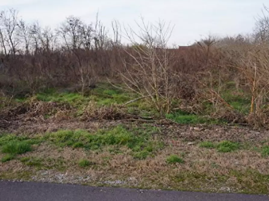 terreno edificabile in vendita a Gazzuolo