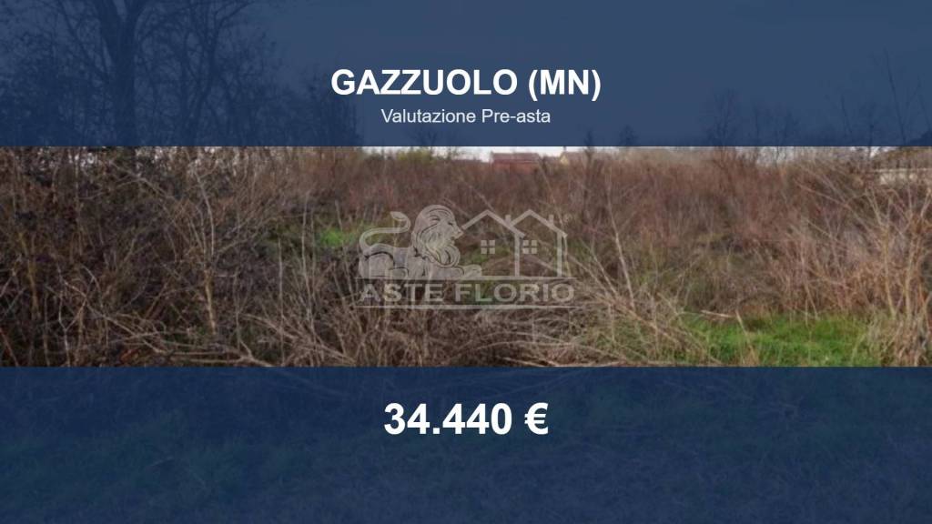 terreno agricolo in vendita a Gazzuolo