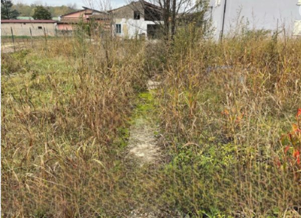 terreno edificabile in vendita a Goito in zona Solarolo