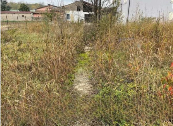 terreno edificabile in vendita a Goito in zona Solarolo