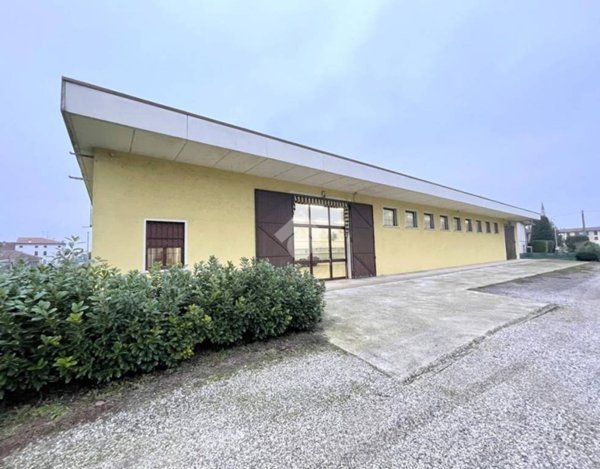 appartamento in vendita a Goito in zona Cerlongo