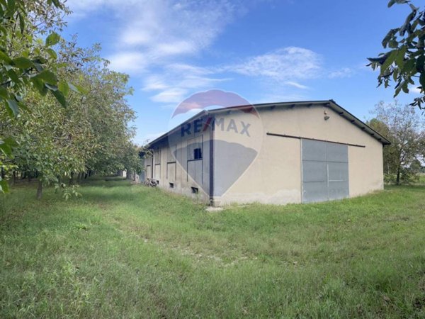 negozio in vendita a Goito