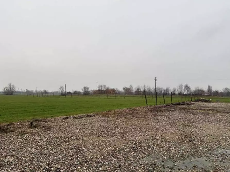 terreno agricolo in vendita a Goito in zona Sacca