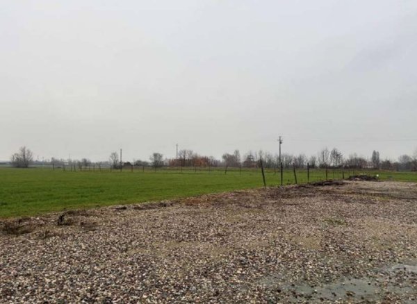 terreno agricolo in vendita a Goito in zona Sacca