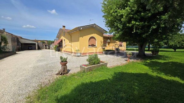 immagine annuncio 0 di 15