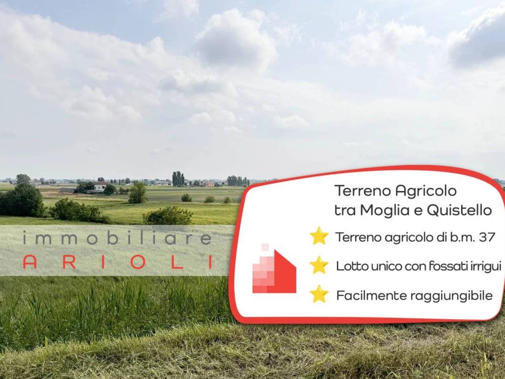terreno edificabile in vendita a Gonzaga