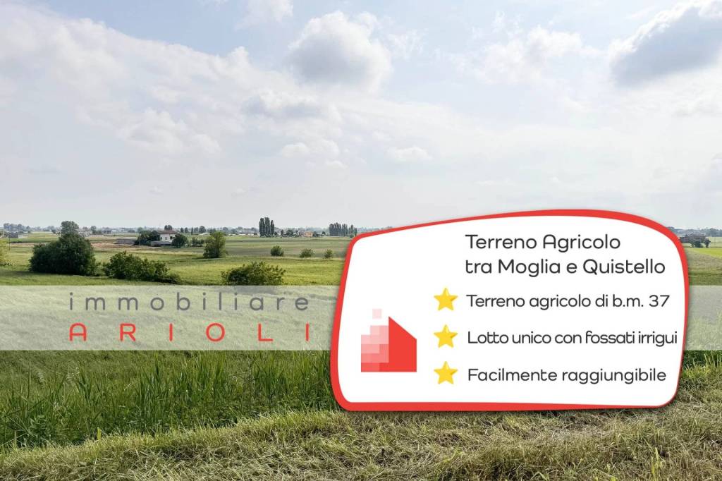 terreno edificabile in vendita a Gonzaga