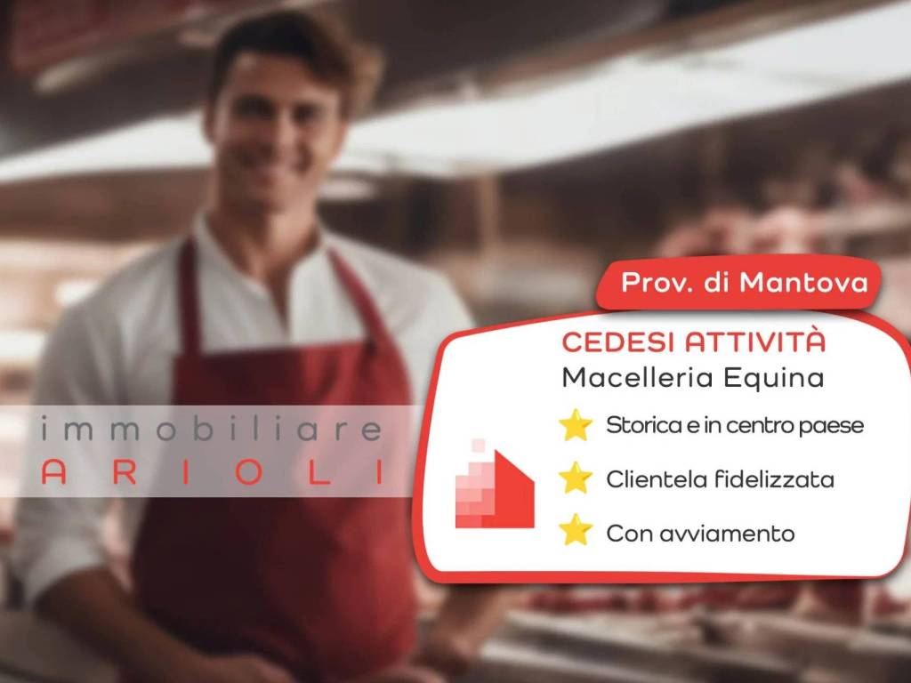 negozio in vendita a Gonzaga