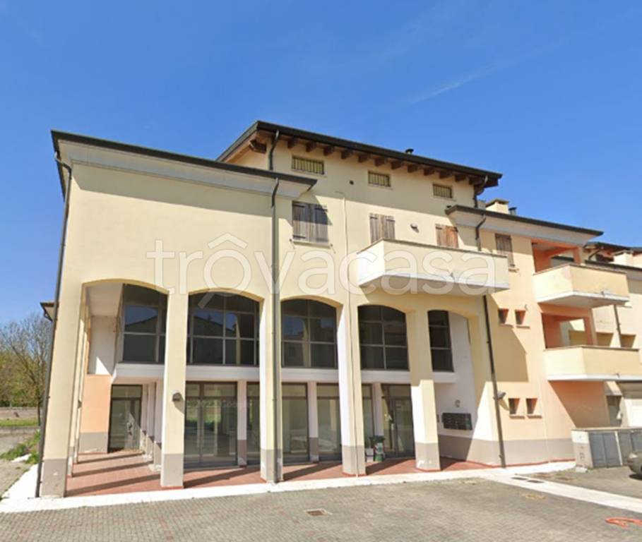 appartamento in vendita a Gonzaga